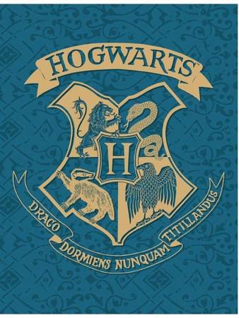Fleece Deka Harry Potter HP-8189FB