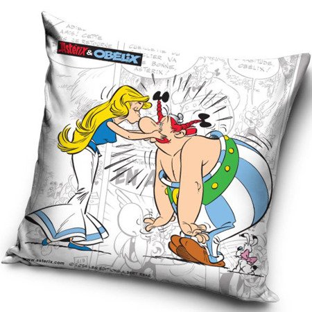 Polštářek Asterix a Obelix 8004 40x40 cm