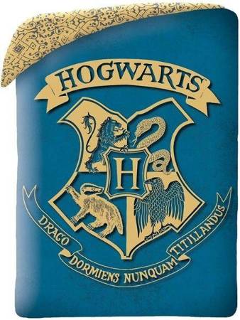 Povlečení Harry Potter HP-289BL