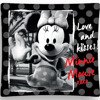 Povlak na Polštář 3D Disney Minnie Mouse 07 40x40 cm