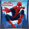 Povlak na Polštář 3D Spiderman 02 40x40 cm