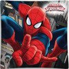 Povlak na Polštář Spiderman 01 40x40 cm