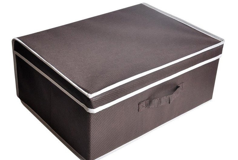 Úložný Box s Věkem RR141009 44x33x19 cm