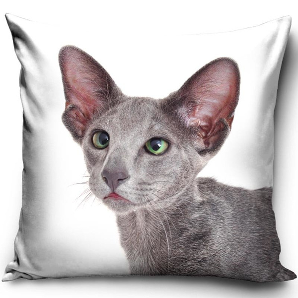Povlak na Polštář PNL191021 CAT 40x40 cm
