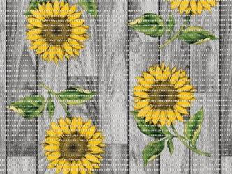 Pěnová Koupelnová Krytina 65 Aqua Mat 4004-2 v Rolích