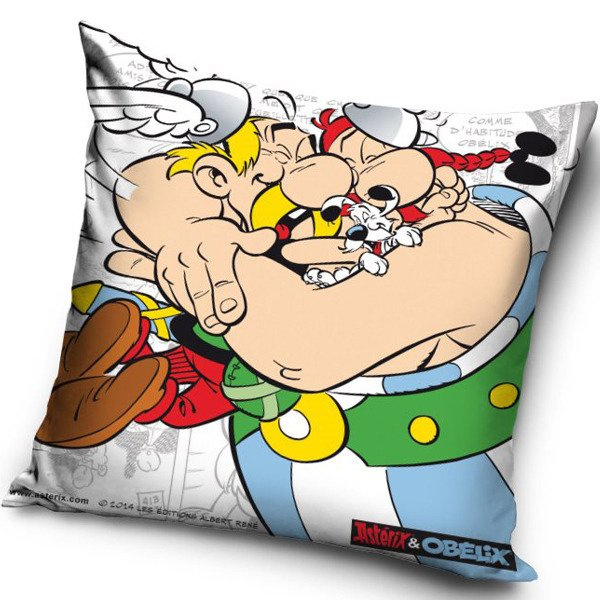 Polštářek Asterix a Obelix 8003 40x40 cm