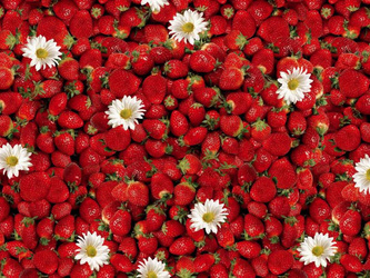 Ubrusy PVC s Textilním Podkladem Florista 01156-00